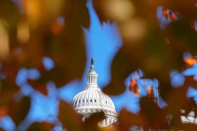 A forced perspective view of the U.S. capitol through leaves in a tree, which is out of focus in the foreground.