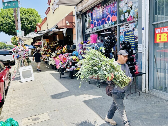 A medium skinned man with a baseball cap walks down a sidewalk with long plants in his arms.