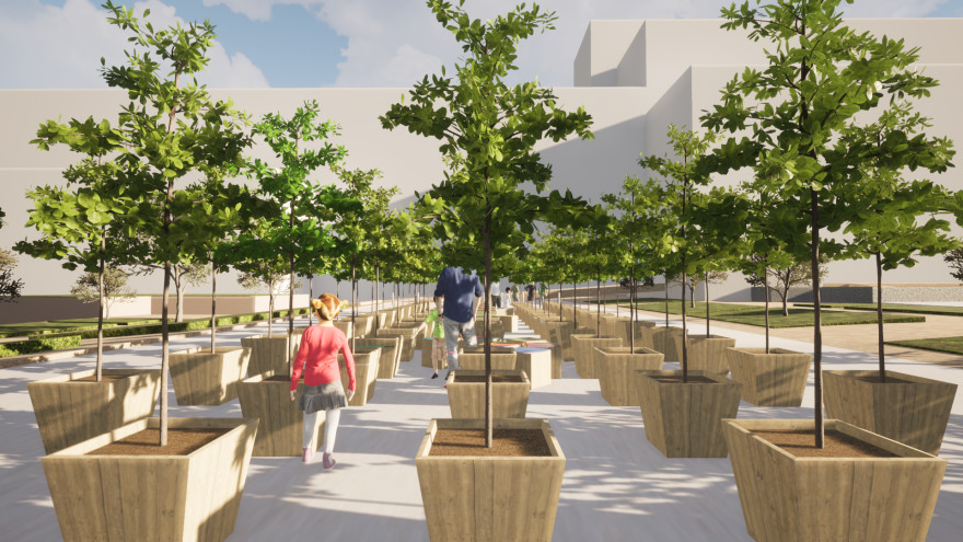 In a wide bright courtyard, small live oak trees stand in rows in large beige rectangular plant holders. In the background is a white non-descript building and a blue sky with puffy clouds. A small child in a pink sweater and blonde pigtails stands among the render urban forest.