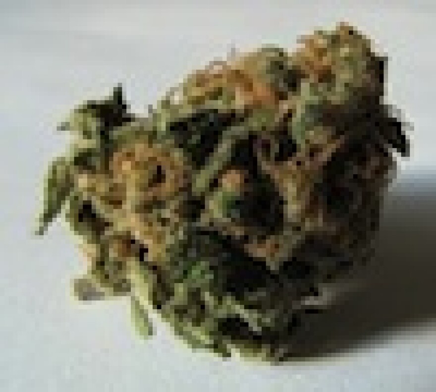 marijuana-infraction.jpg
