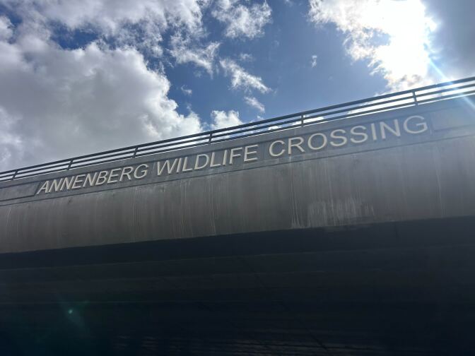 The letters "Annenberg Wildlife Crossing" is etched on the side of a concrete bridge. 