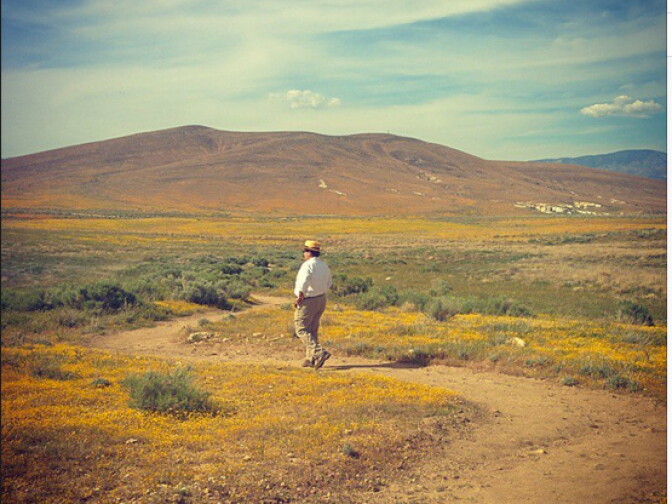 Richard Schave of the Esotouric bus adventures walking the Antelope Valley California Poppy Reserve.