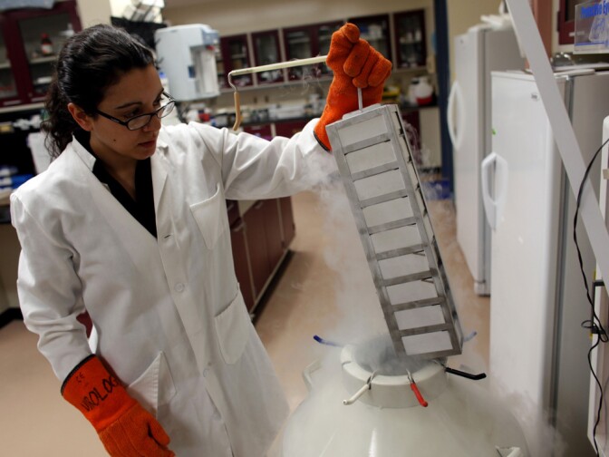 Jessica Dias, an associate research specialist at University of Wisconsin in Madison, removes embryonic stem cells from deep freeze to be thawed before being worked on. The university's scientists, who were the first to experiment with finding cures to neurological and muscular diseases through stem cell research, hope to receive federal funding for their work.