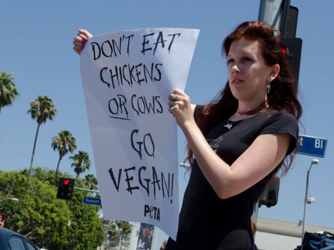 Meggan Anderson joins the Chick-fil-a protest, showing her alliance with PETA and her view that chickens deserve fair treatment.