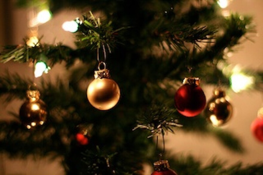 christmas-tree-branches.jpg