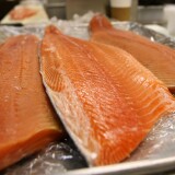 File Photo: Salmon filets. A new study shows that most eco-labels on farmed seafood don't actually reflect better fish farming practices.