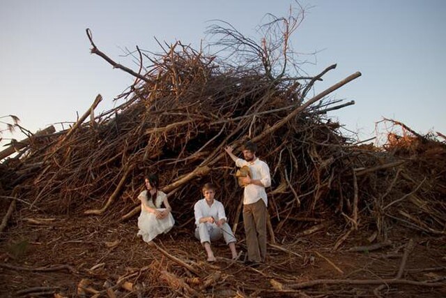Bowerbirds