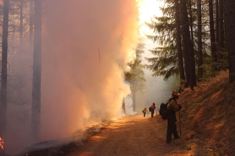 A group of firefighters face away from huge clouds of smoke appearing from a forest