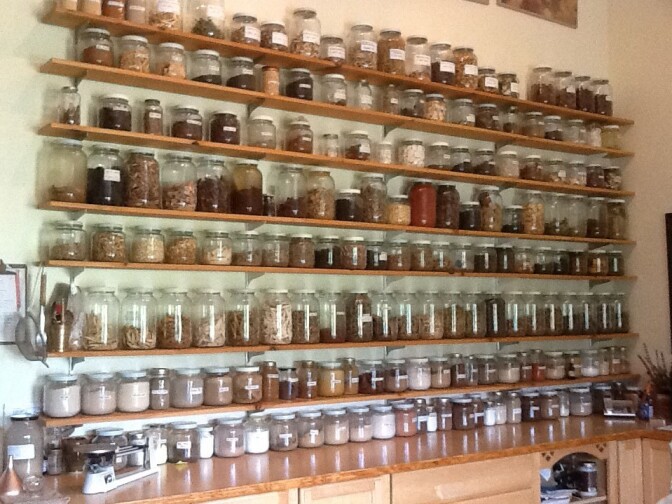 Jars of dried roots, leaves and flowers line the shelves of the Blue Ridge Center for Chinese Medicine.