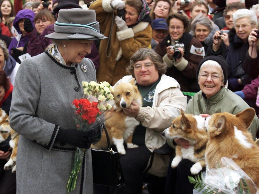 Queen Elizabeth II, 96-year-old white woman, smiles as fans standing behind a low partition hold their corgi dogs up to her. She wears a gray coat and hat and carries red and white flowers. It is daytime.