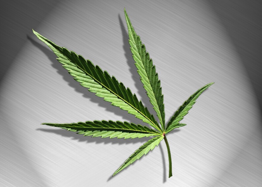 Cannabis Leaf