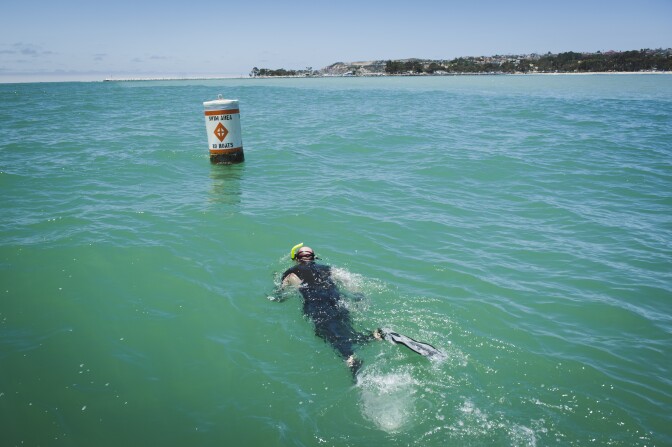 Shark researcher Dr. Chris Lowe, left, of California State University, Long Beach swims to a buoy to attach a device that collects information from sharks that the team has tagged for a research project on shark behavior near Dana Point, Tuesday June 28, 2017.