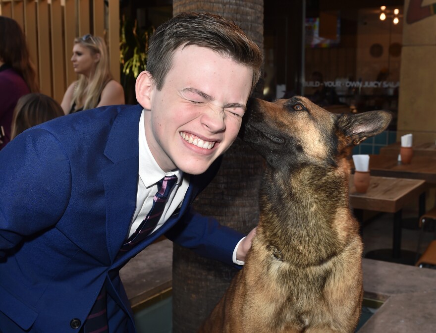 LOS ANGELES, CA - JUNE 23:  Actor Josh Wiggins and Jagger "Max" arrive at the premiere of Warner Bros. Pictures and Metro-Goldwyn-Mayer Pictures' "Max" at the Egyptian Theatre on June 23, 2015 in Los Angeles, California.  (Photo by Kevin Winter/Getty Images)