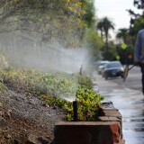 A gardener walks past a row of sprinklers watering plants and foliage in front of an apartment complex in South Pasadena, California on Jan. 21, 2014. Water is running off the plants and onto the street. This kind of wasteful use of water could soon be permanently banned in California.