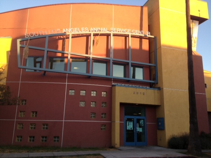 The current South L.A. animal shelter on 11th St. near the intersection of Exposition Blvd. and Crenshaw Blvd. was slated to relocate to a new facility the week of Oct. 22 but construction delays have put that plan on hold.  