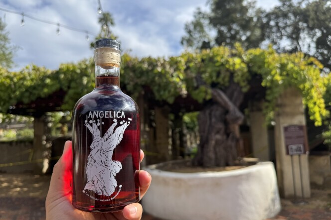 A hand holds a bottle of deep red Angelica wine with a white grapevine illustration on the label, photographed outdoors with Mission San Gabriel's historic grapevine arbor visible in the blurred background.