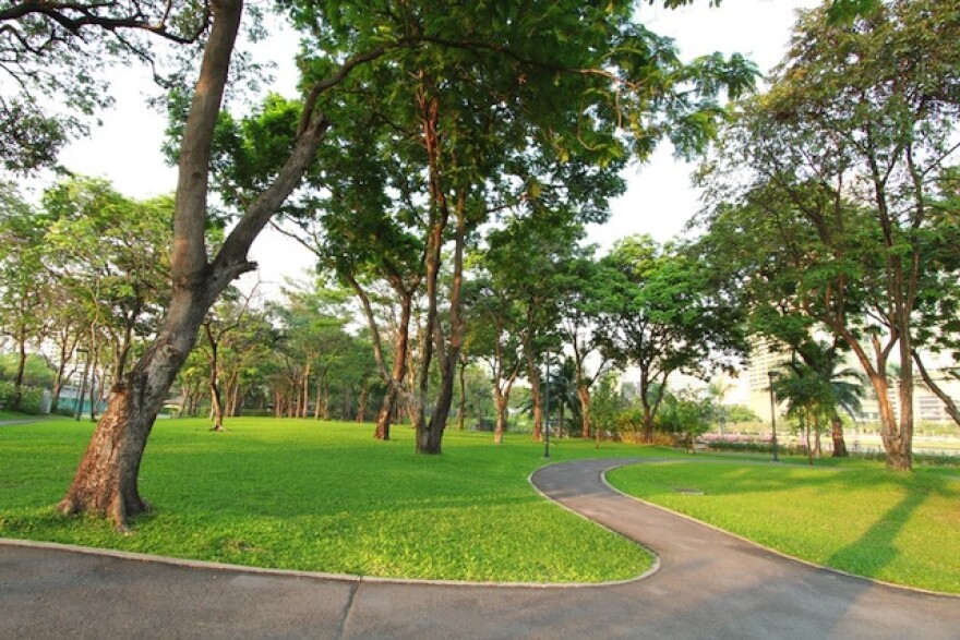 green_park.jpeg