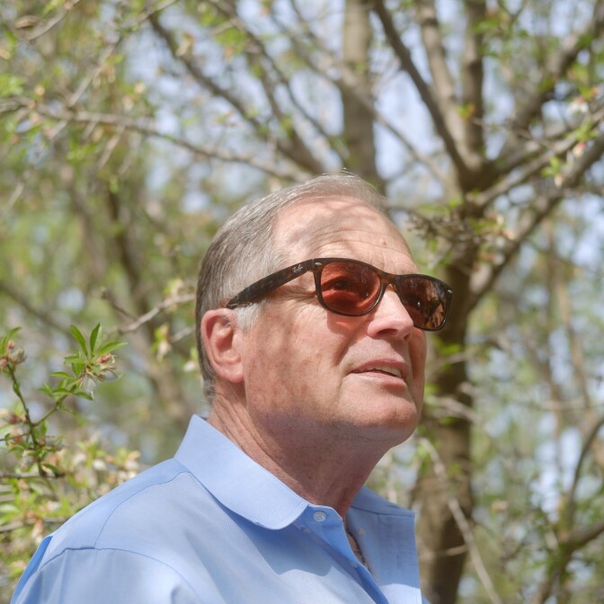 A diptych image: on the left, a close up of a man wearing sunglasses shaded by trees. On the right, the same man gestures with his arms between two rows of almond trees. 