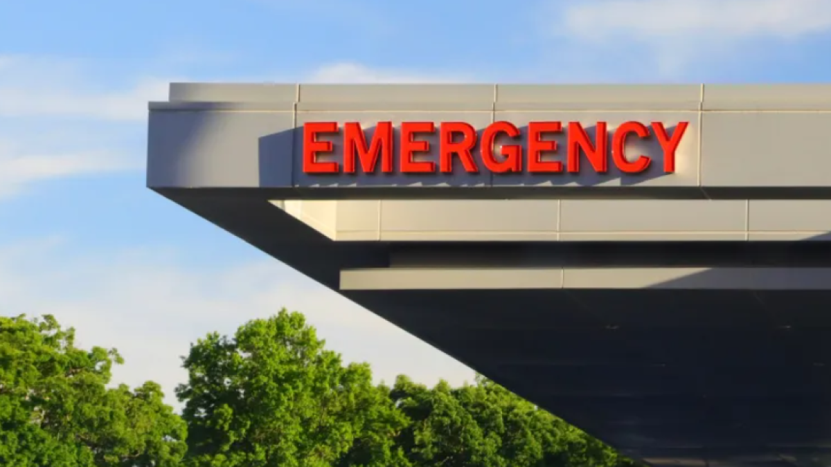 Medicaid Money Violation - Vimarsana News