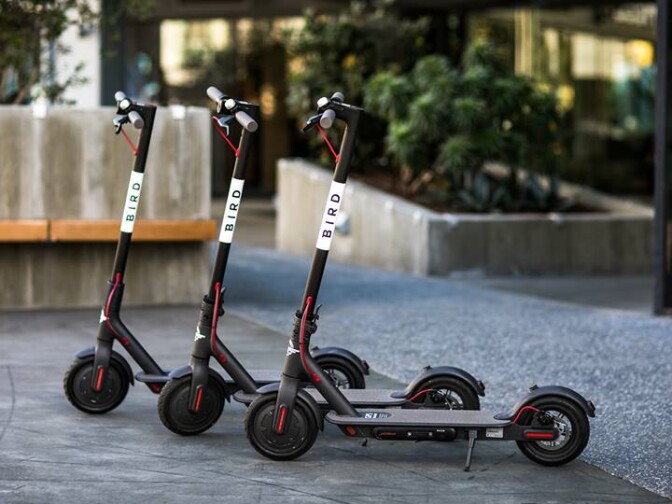 A still of three Bird scooters.