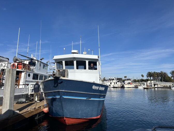 An image of a navy blue fishing boat under blue skies and calm blue water in a harbor. 