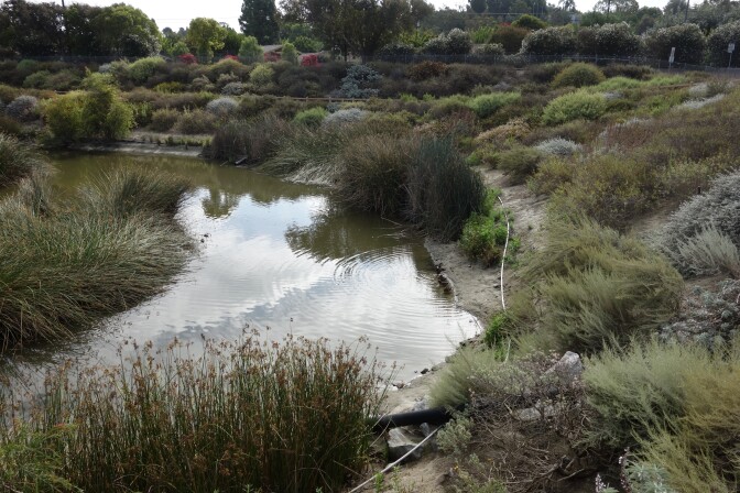 The engineered Dominguez Gap Wetlands in Long Beach filters stormwater and runoff from the Los Angeles River, then the water is siphoned under the river to a spreading ground to the west.
