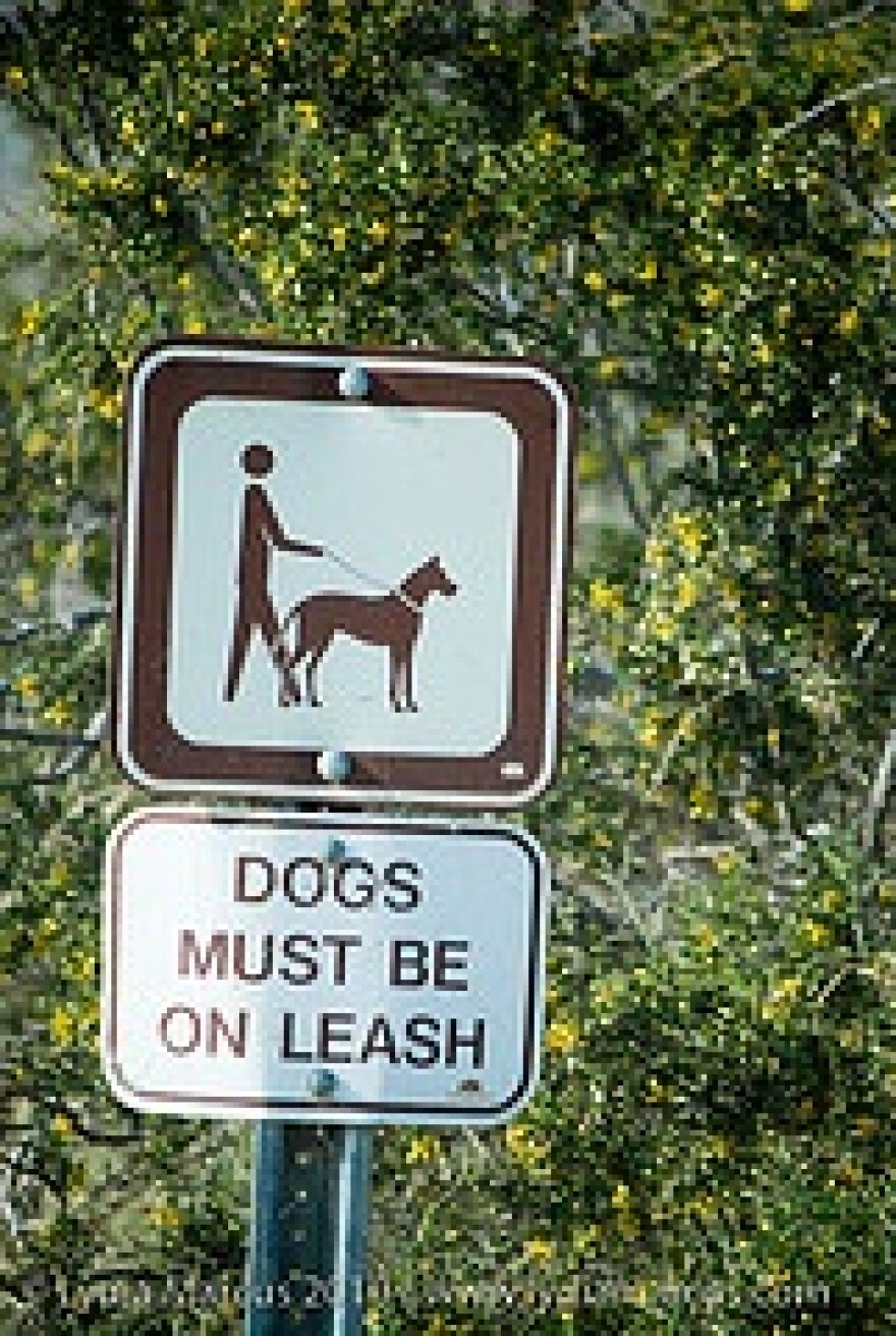 dog_sign.jpg