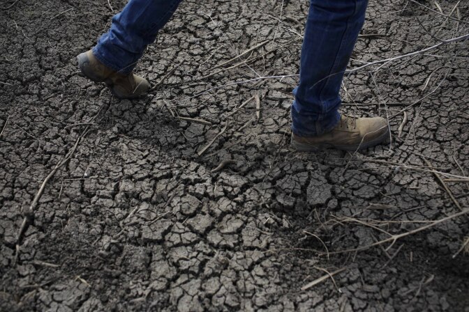 FILE - In this May 1, 2014 file photo, fourth-generation rice farmer Josh Sheppard walks across the dried-up ditch at his rice farm in Richvale, Calif. In Santa Cruz, Calif., dozens of residents who violated their strict water rations take a seat at Water School, hoping to get hundreds of thousands of dollars in distressing penalties waived. California is in the third year of the state's worst drought in recent history. (AP Photo/Jae C. Hong, File)