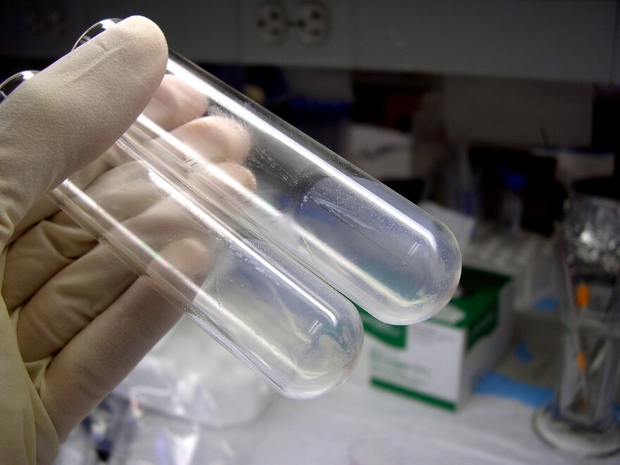 DNA testing in a lab.