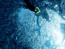 A screenshot from the video game "Abzû."