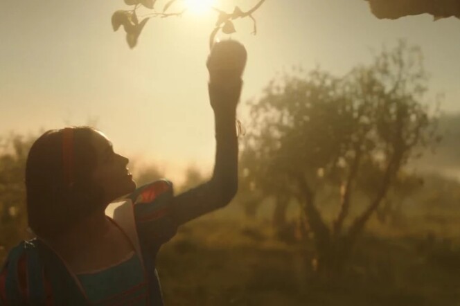 A woman in a golden light picking a fruit from a tree