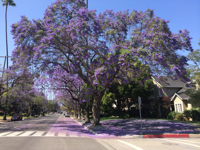 South Pasadena is the third best city to raise a family in Southern California, according to a study by CreditDonkey. 
