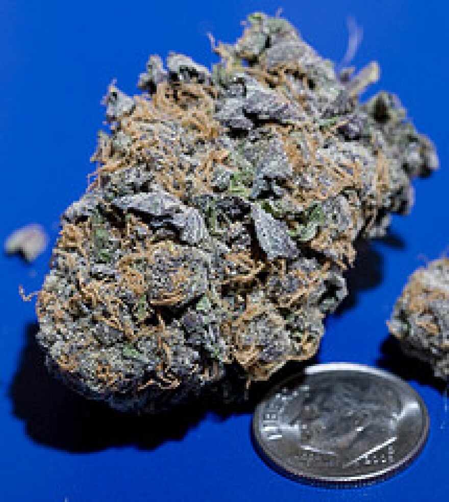 purple-kush.jpg