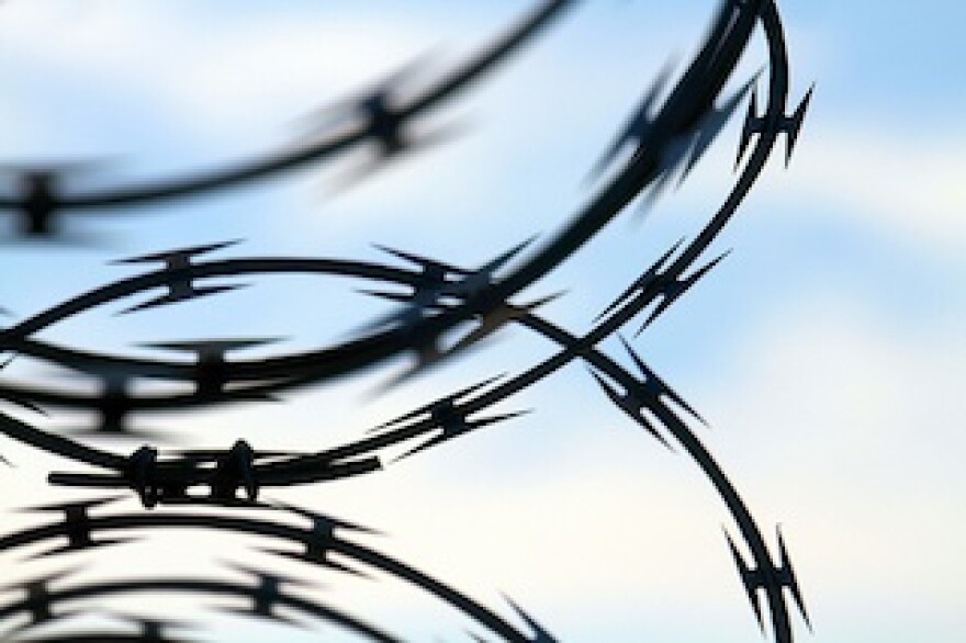 barbedwire.jpg