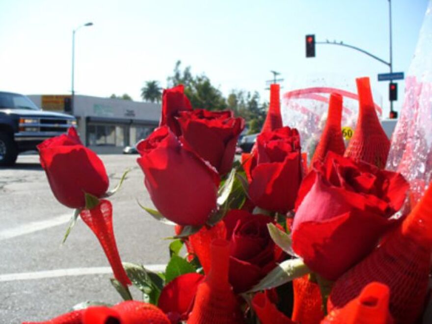 roses.jpg
