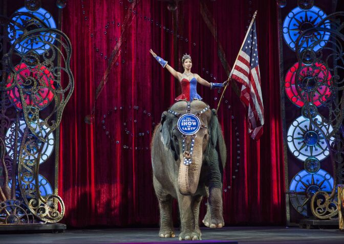 A performer rides an elephant holding a US national flag during a Ringling Bros. and Barnum & Bailey Circus performance in Washington, DC on March 19, 2015. Across America through the decades, children of all ages delighted in the arrival of the circus, with its retinue of clowns, acrobats and, most especially, elephants. But, bowing to criticism from animal rights groups, the Ringling Bros. and Barnum & Bailey Circus announced on March 5, 2015, it will phase out use of their emblematic Indian stars. AFP PHOTO/ ANDREW CABALLERO-REYNOLDS        (Photo credit should read Andrew Caballero-Reynolds/AFP/Getty Images)