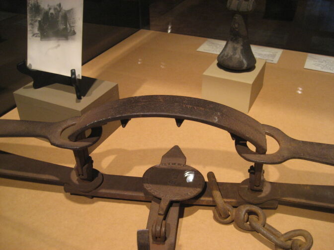 The Bowers Museum's "Weird and Wonderful" exhibit includes the bear trap that killed the last grizzly bear in Orange County.