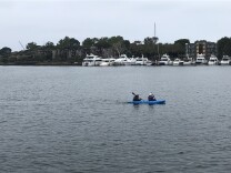 Two kayakers paddle through Marina Del Rey's main channel.