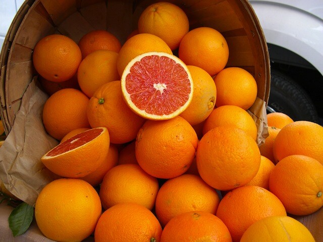 caracaraoranges.jpg