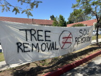 A white banner reads TREE REMOVAL does not equal SOIL REMEDIATION