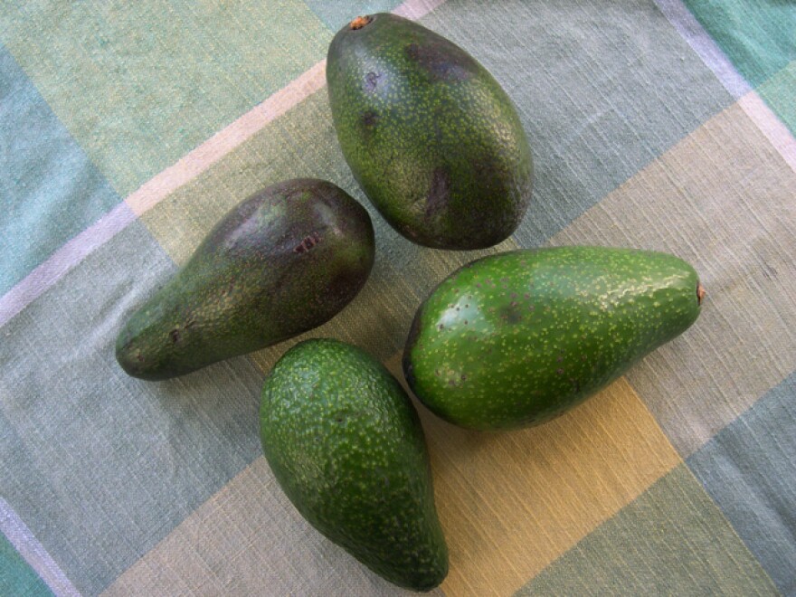 winteravocados.jpg