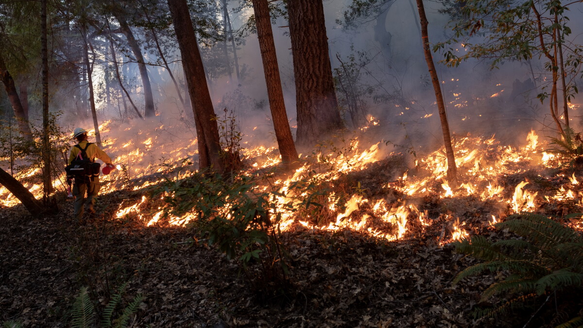 California Takes A Big Step To Help Insure Private Companies That Fight Fire With Fire - Vimarsana News