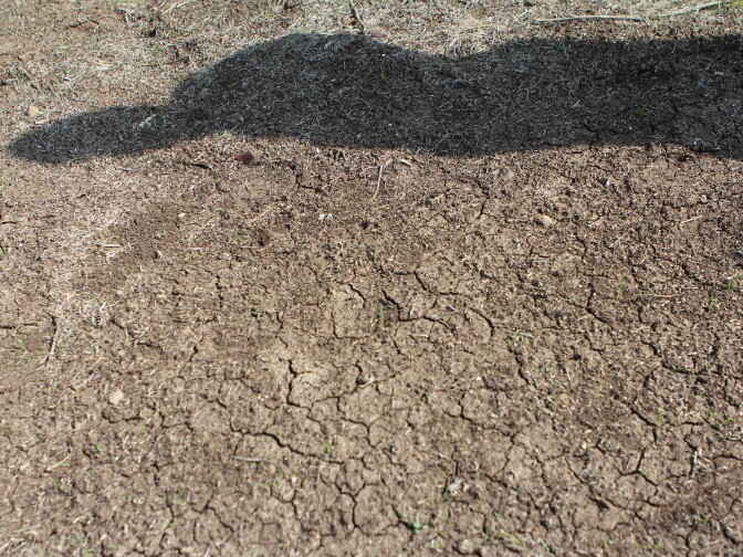 Heavy rainfall has left cracks in the soil, which had been baking for months during the dry winter. This photo was taken on March 6, 2014. 