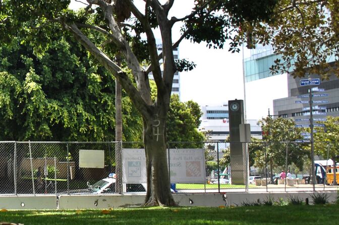 If you're wondering why ficus trees on City Hall's south park plaza have white spray painted numbers on them, blame basketball. 