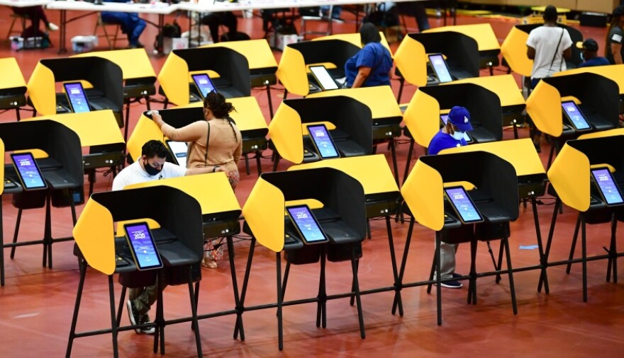 Rows of bright yellow vote stations