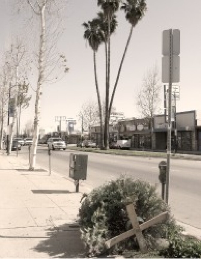 If your tree looks like this, it's time to let it go.