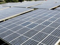 A field of solar panels.