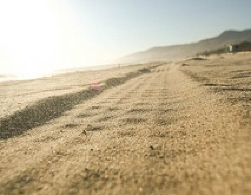 beach-sand.jpg