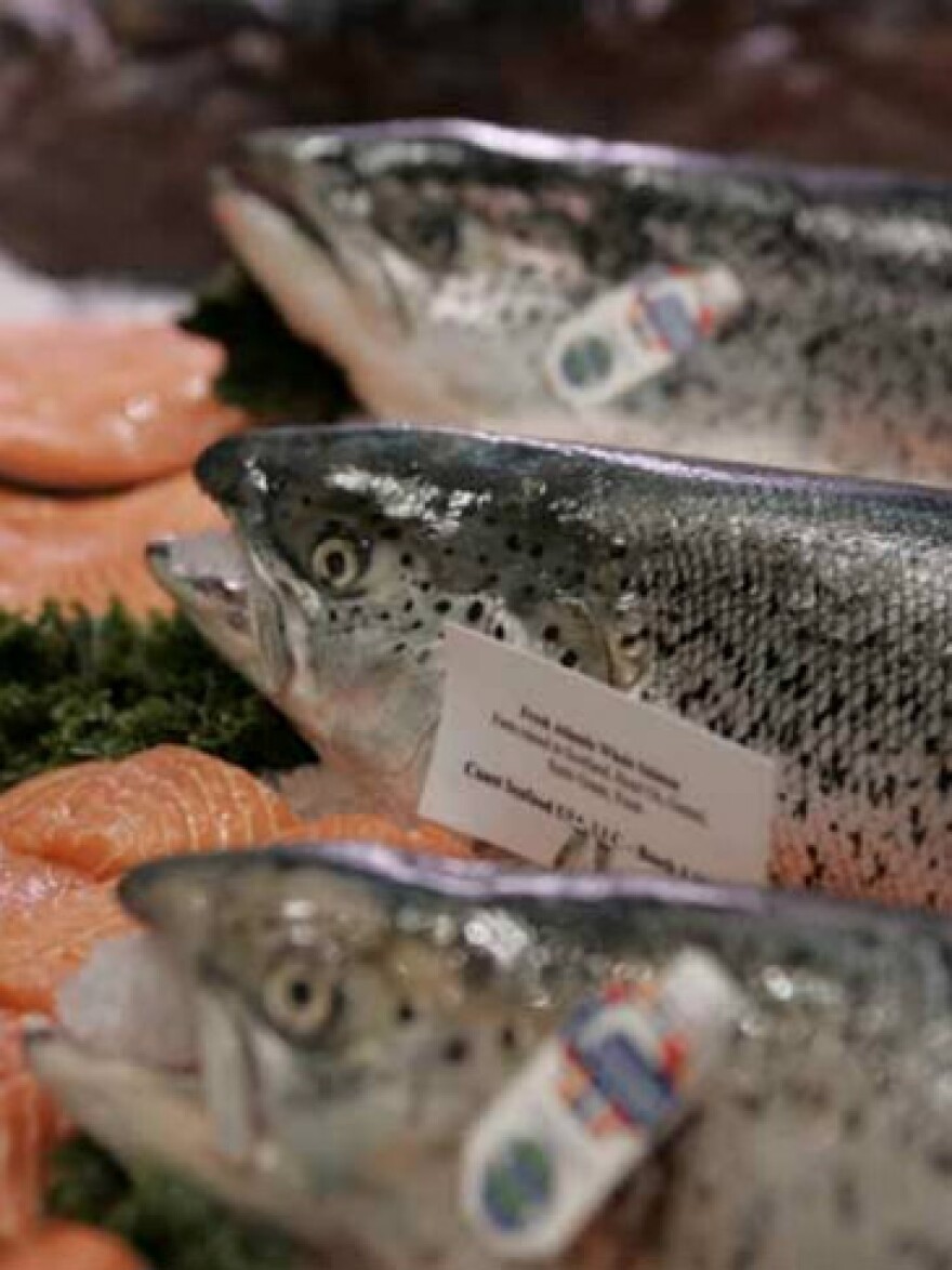 sustainable seafood safeway