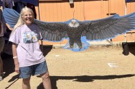 A woman with long hair and in a t-shirt with two eagles on it is standing next to a cut out of an eagle with spreading wings.